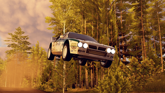 CarX Rally Screenshot