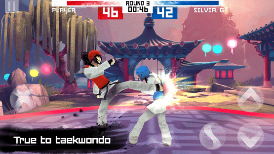 Taekwondo Screenshot