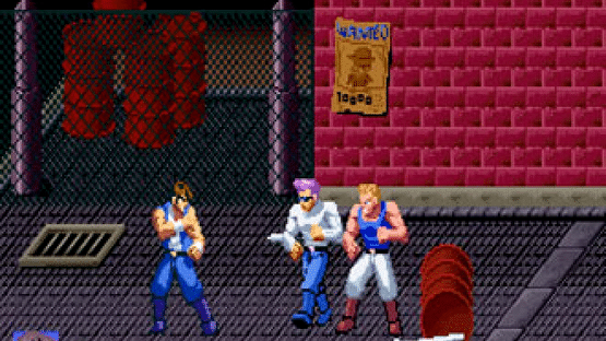 Double Dragon Screenshot