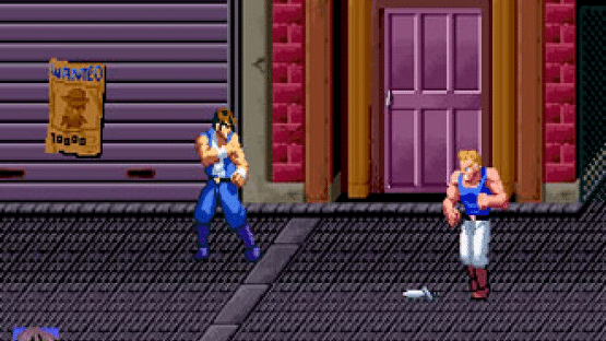 Double Dragon Screenshot