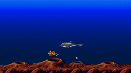 Ecco Jr. and The Great Ocean Treasure Hunt! Screenshot