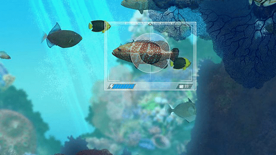 Caribbean Sea Fishes Screenshot