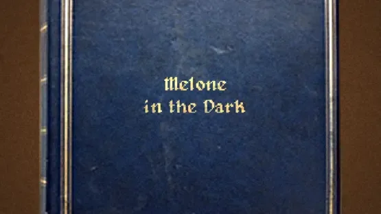 Melone in the Dark screenshot 2