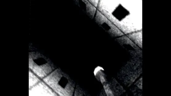 Visitor screenshot 2