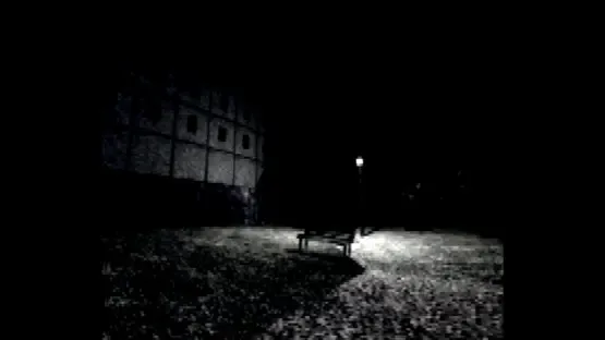 Visitor screenshot 1
