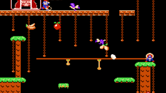 Donkey Kong Jr. Screenshot