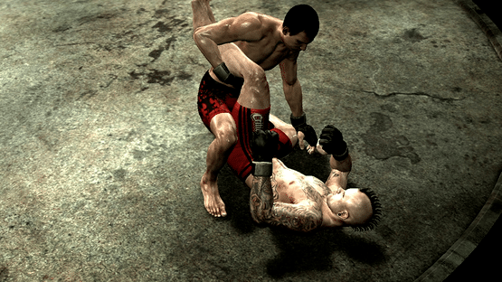 Supremacy MMA Screenshot