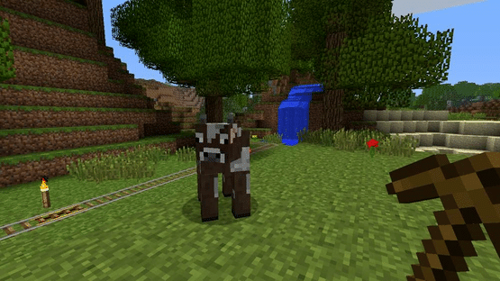 Minecraft: Xbox 360 Edition Screenshot