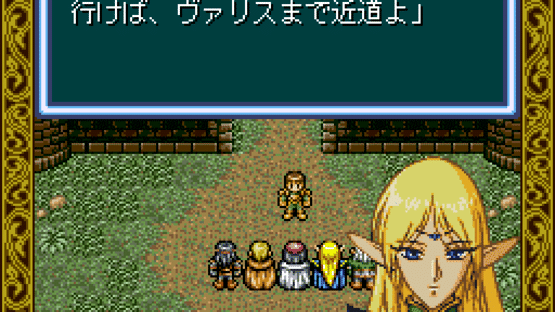 Record of Lodoss War Screenshot