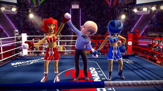 Boxing Fight Screenshot