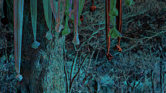 Sleepwalking Forest Screenshot