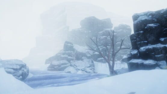 Thumbnail 13