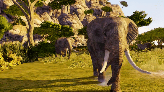 Cabela's Dangerous Hunts 2009 Screenshot