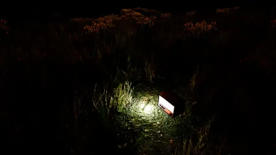 Violation screenshot 3