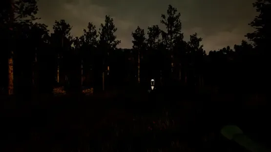 Violation screenshot 6