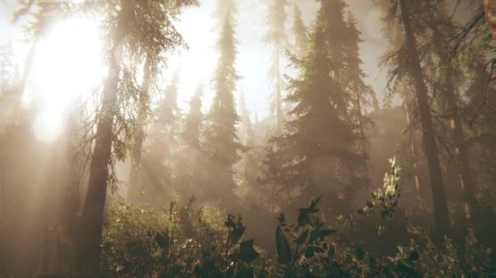 Rot: Purgatory Hill Screenshot