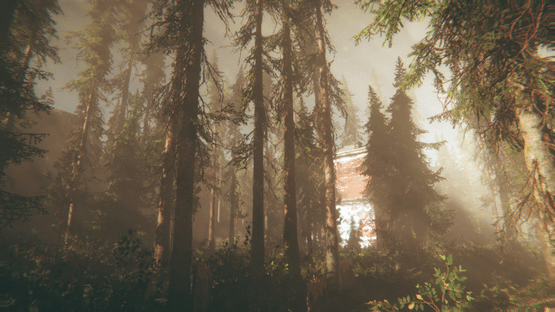 Rot: Purgatory Hill Screenshot
