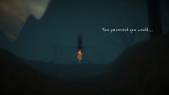 Thumbnail 13