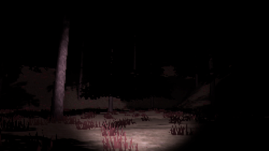Lost Player Screenshot