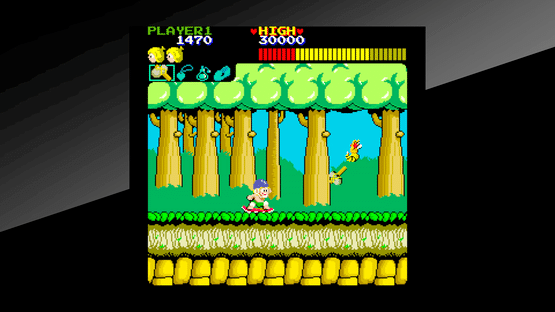 Arcade Archives: Wonder Boy Screenshot