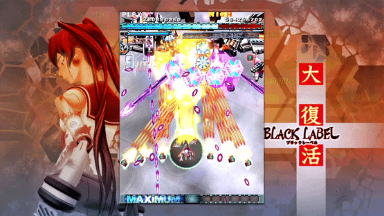 DoDonPachi Resurrection Screenshot