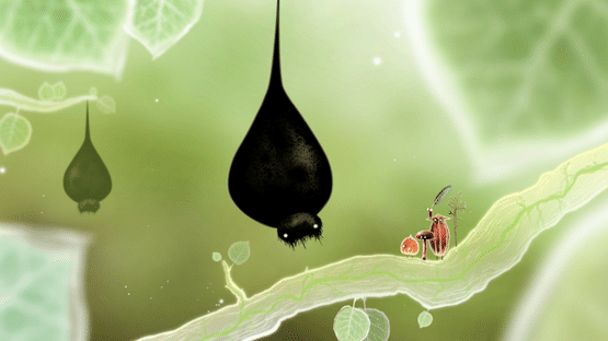 Botanicula: Collector's Edition Screenshot