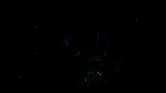 Surrounded Screenshot