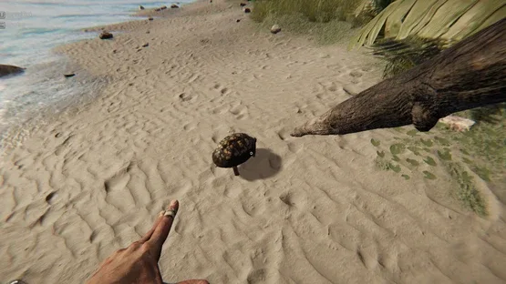 Project Castaway screenshot 5