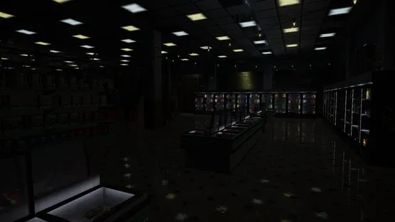 Thumbnail 13