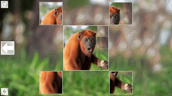 Puzzle Art: Primates Screenshot