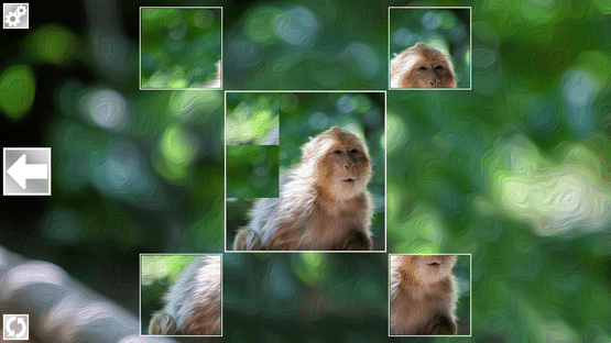 Puzzle Art: Primates Screenshot