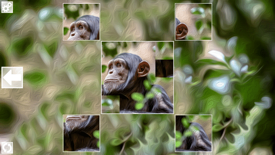 Puzzle Art: Primates Screenshot