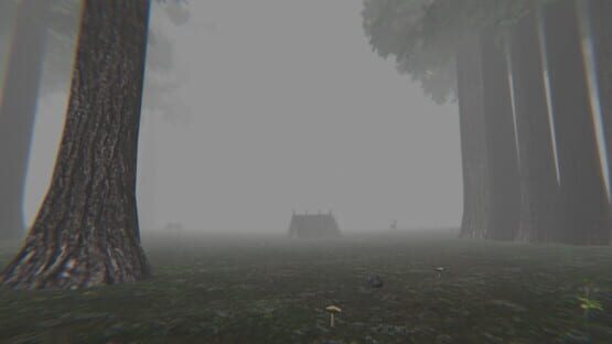 Trapped in the Forest screenshot 3