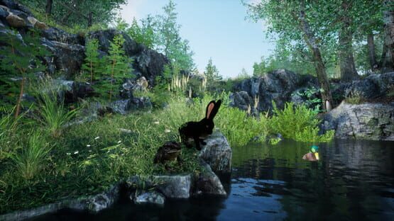 Rabbit Meadow screenshot 1