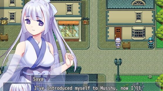 Snow-Swept Quest cover