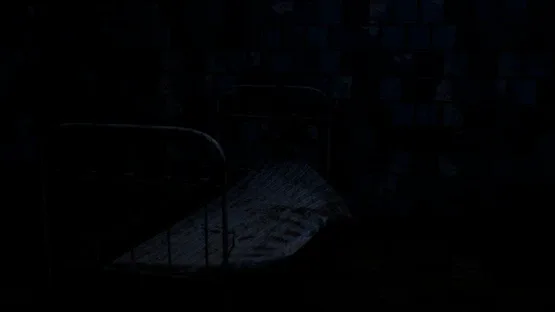 Omitted screenshot 4