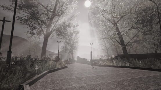 Thumbnail 27