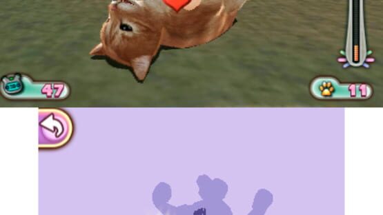 I Love My Pets screenshot