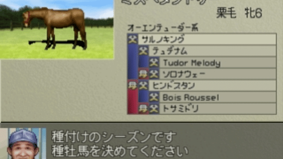 Derby Stallion 99 Screenshot