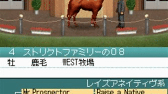 Derby Stallion DS Screenshot