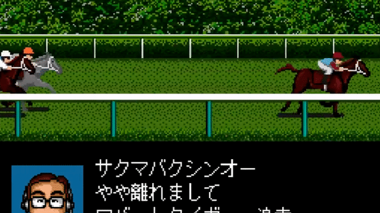 Derby Stallion Expert Kit Screenshot