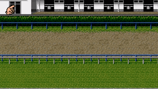 Derby Stallion Expert Kit Screenshot