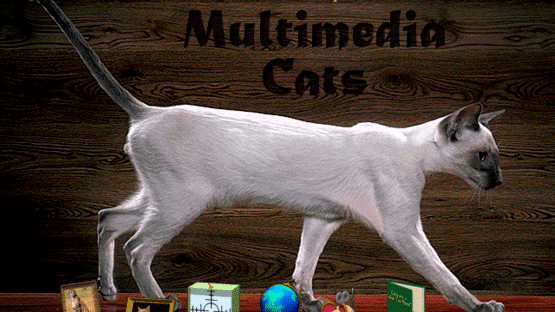 Multimedia Cats Screenshot