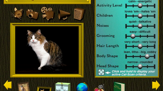 Multimedia Cats Screenshot