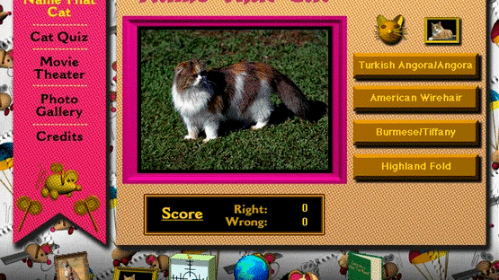 Multimedia Cats Screenshot