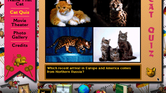 Multimedia Cats Screenshot