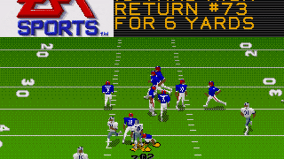 Madden NFL 95 Screenshot