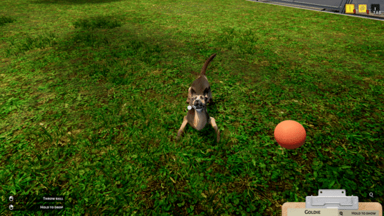 Animal Shelter Simulator Screenshot