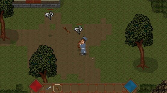 Bird and Beast Fantasy cover