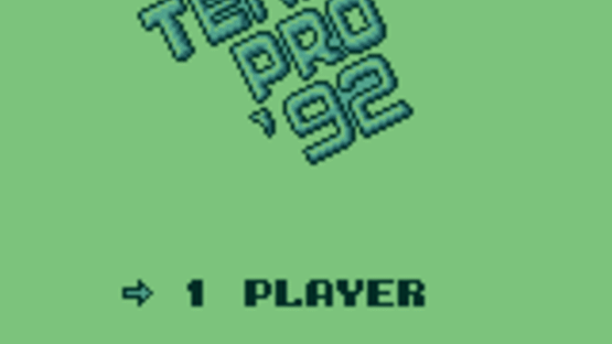 Tennis Pro '92 Screenshot